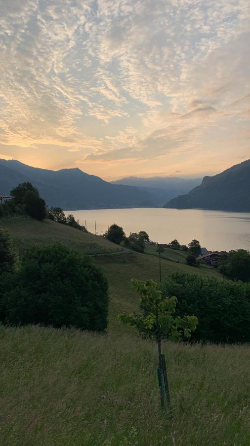 Hotel Roessli Oberried am Brienzersee Dış mekan fotoğraf